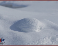 SNOWCROSS 0178 (2)